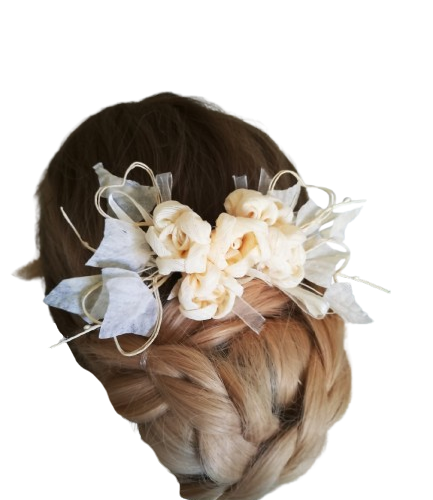 IMG20240422153959-removebg-preview